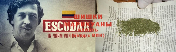 ГАЛЛЮЦИНОГЕННЫЕ ГРИБЫ Алексин