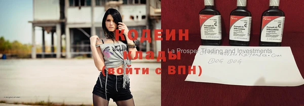 ГАЛЛЮЦИНОГЕННЫЕ ГРИБЫ Алексин