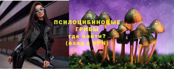 бутират Алзамай