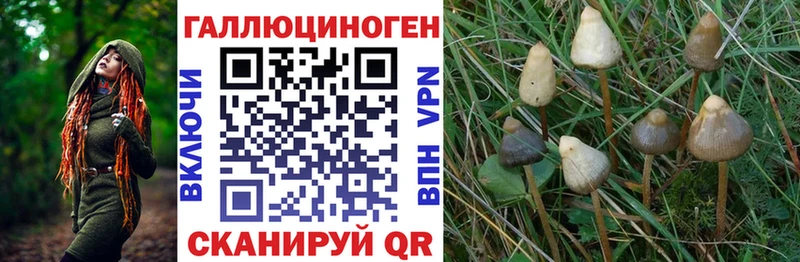 мега вход  хочу наркоту  Ветлуга  Галлюциногенные грибы Magic Shrooms 
