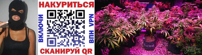 купить наркоту  Ветлуга  МАРИХУАНА Ganja 